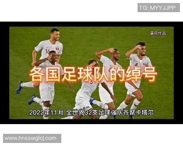 全球国家足球队排名分析与发展趋势探讨